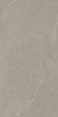 AVA Ceramica Noble Stone Taupe 8.8mm Nat 60x120 / Ава
 Керамика Нобле Стоун Таупэ 8.8mm Нат 60x120 